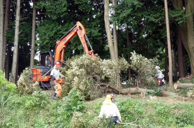 木曾路はすべて山の中である。