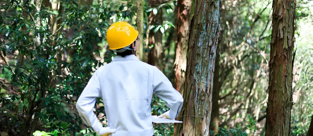 これからどんどん成長して行く会社です。